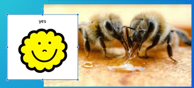 Nonverbal communication board with a yellow "yes" smiley face next to an image of two bees working together to make honey.