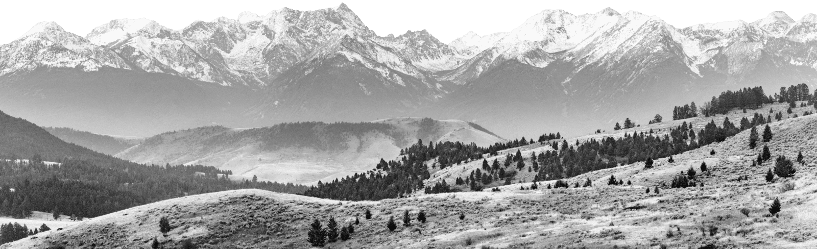 buildingwings-mountain