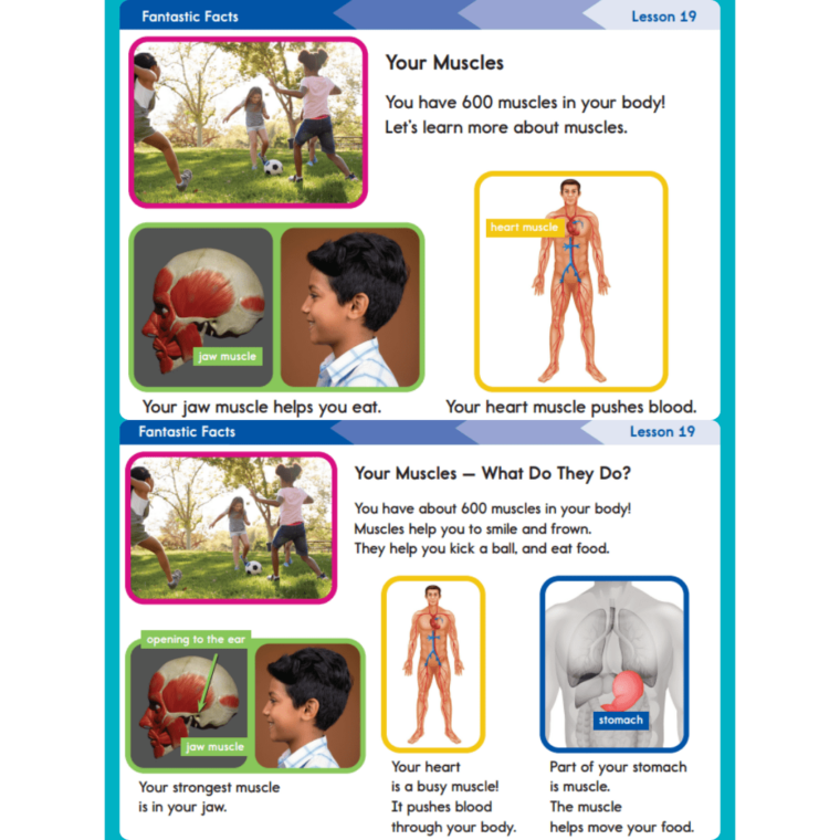 Readtopia - Literacy Curriculum for Special Education
