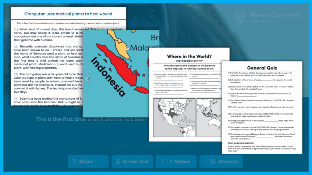 News Currents current events lesson featuring an orangutan article, map of Indonesia, geography activity, and general knowledge quiz.