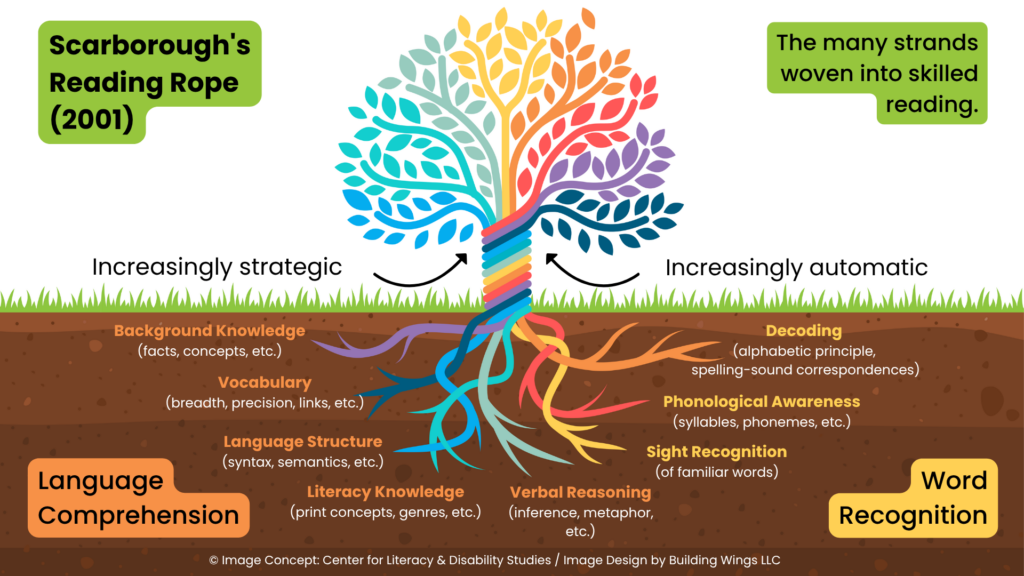 Colorful tree diagram illustrating how background knowledge, vocabulary, language structure, and decoding skills build reading ability from ground to canopy.